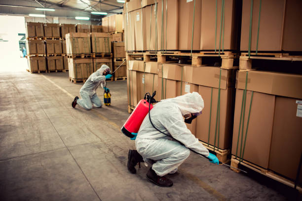 Best Exterminator Services  in Paia, HI