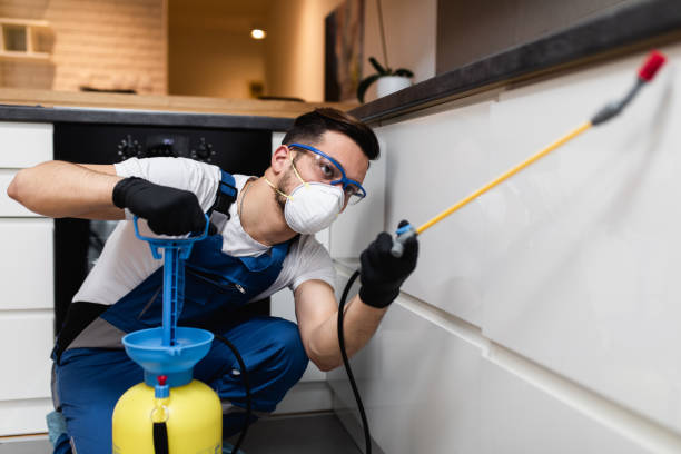 Best Best Pest Control Companies  in Paia, HI