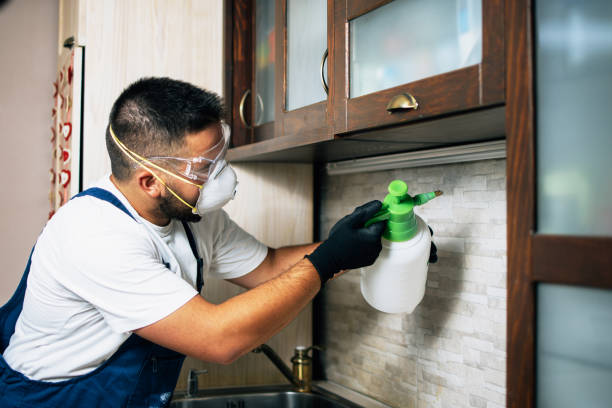 Pest Control for Restaurants in Paia, HI