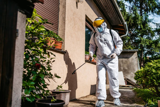Best Wildlife Control Services  in Paia, HI