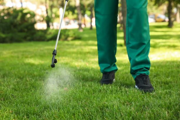 Best Pest Prevention Services  in Paia, HI