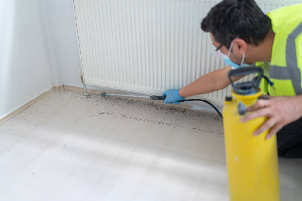 Best Cockroach Control Services  in Paia, HI